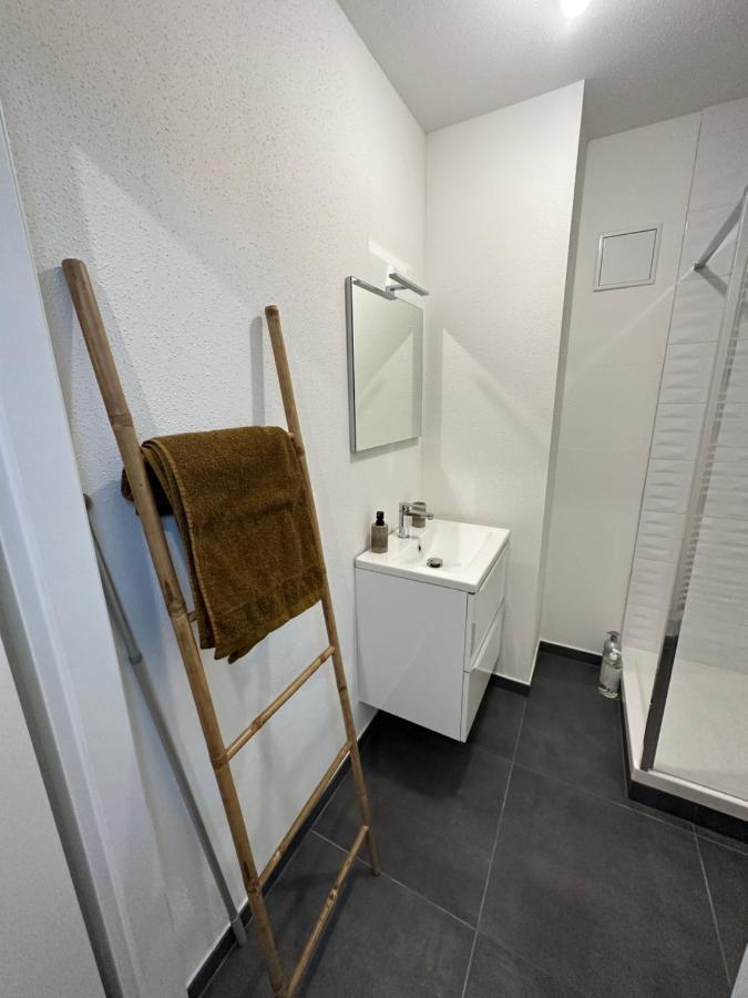 Appartement Atypique Proche Gare/ Dans L'Hyper-Centre Spacieux Pour 6P Au Coeur De Mulhouse Esterno foto